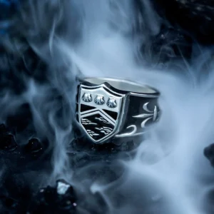 A silver men's ring featuring intricate engravings, including a shield emblem adorned with three small symbols at the top and a landscape motif at the bottom. The ring is set against a misty backdrop, enhancing its mysterious and dramatic aura.