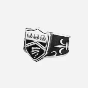 This image shows a silver men's ring featuring the Vongola Storm Ring from the anime Katekyo Hitman Reborn.