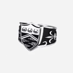 This image shows a silver men's ring featuring the Vongola Mist Ring from the anime Katekyo Hitman Reborn.