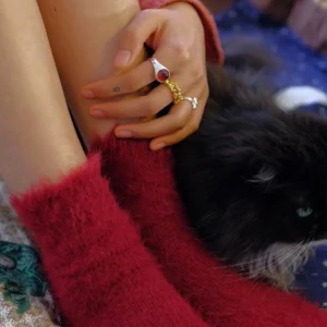 Hand with fuzzy red sock and silver rings, including a January Birthstone Ring with natural garnet, styled with a gold chain ring and charm detail beside a black and white cat.