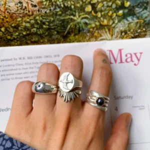 Hand with brown nails wearing silver rings, including a September Birthstone Ring with natural sapphire and snake motif, styled over a calendar page with floral art.