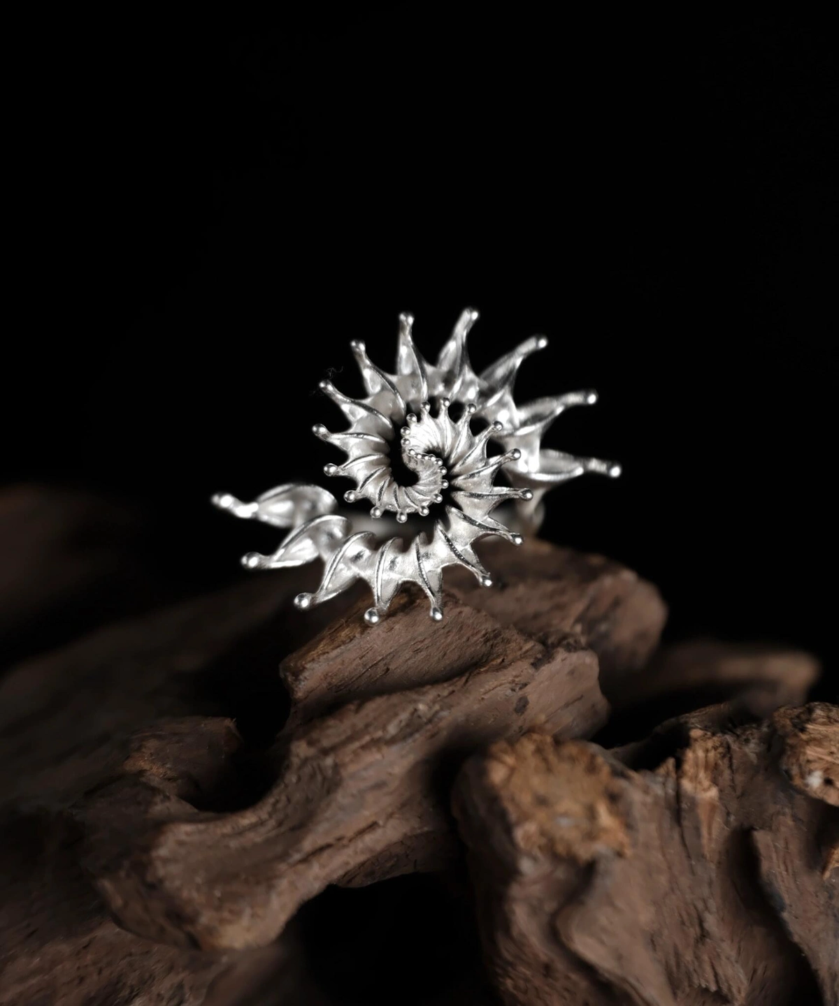 S925 Sterling Silver Spiral Ring Jewelry-Handmade Artistic Statement Ring 02 S925 Sterling Silver Spiral Ring Jewelry with radiating petal-like extensions in a fractal-inspired sunburst design, placed on driftwood against a black background; bold Statement Ring showcasing sculptural elegance and intricate Silver Ring craftsmanship.