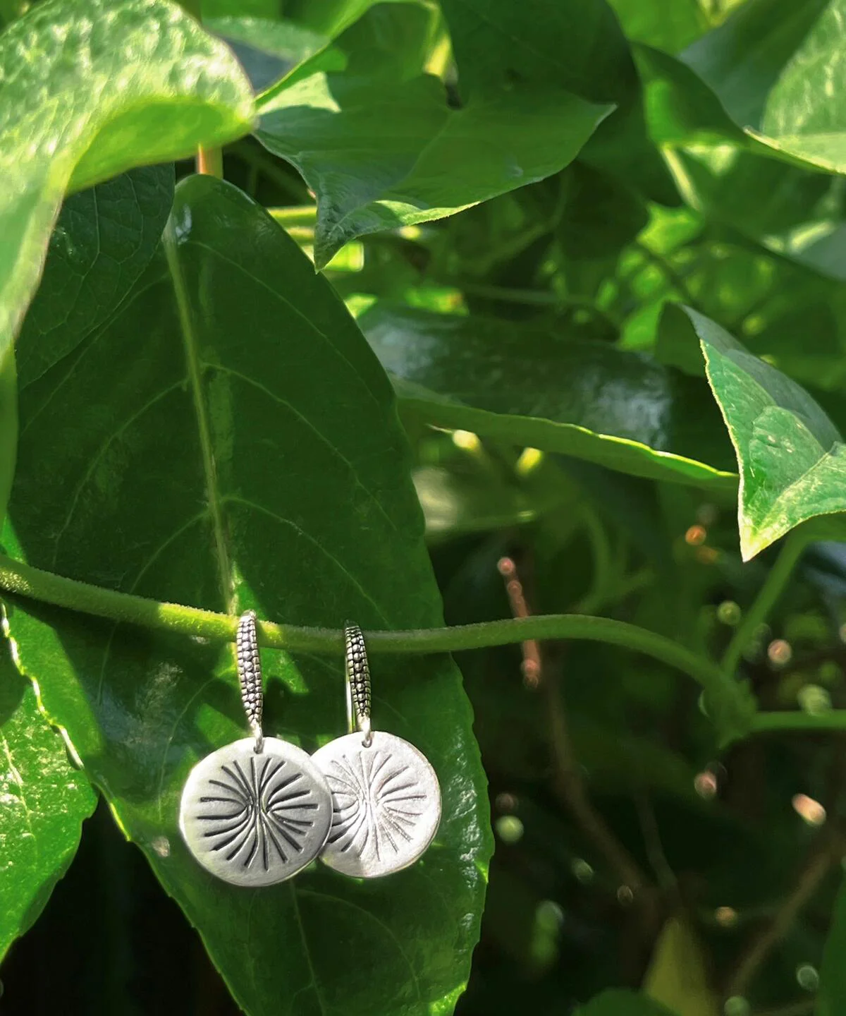 Disc Earrings in S925 Sterling Silver with engraved sunburst design; hanging from green vine among lush leaves, showcasing handcrafted detail and nature-inspired elegance in engraved earrings.