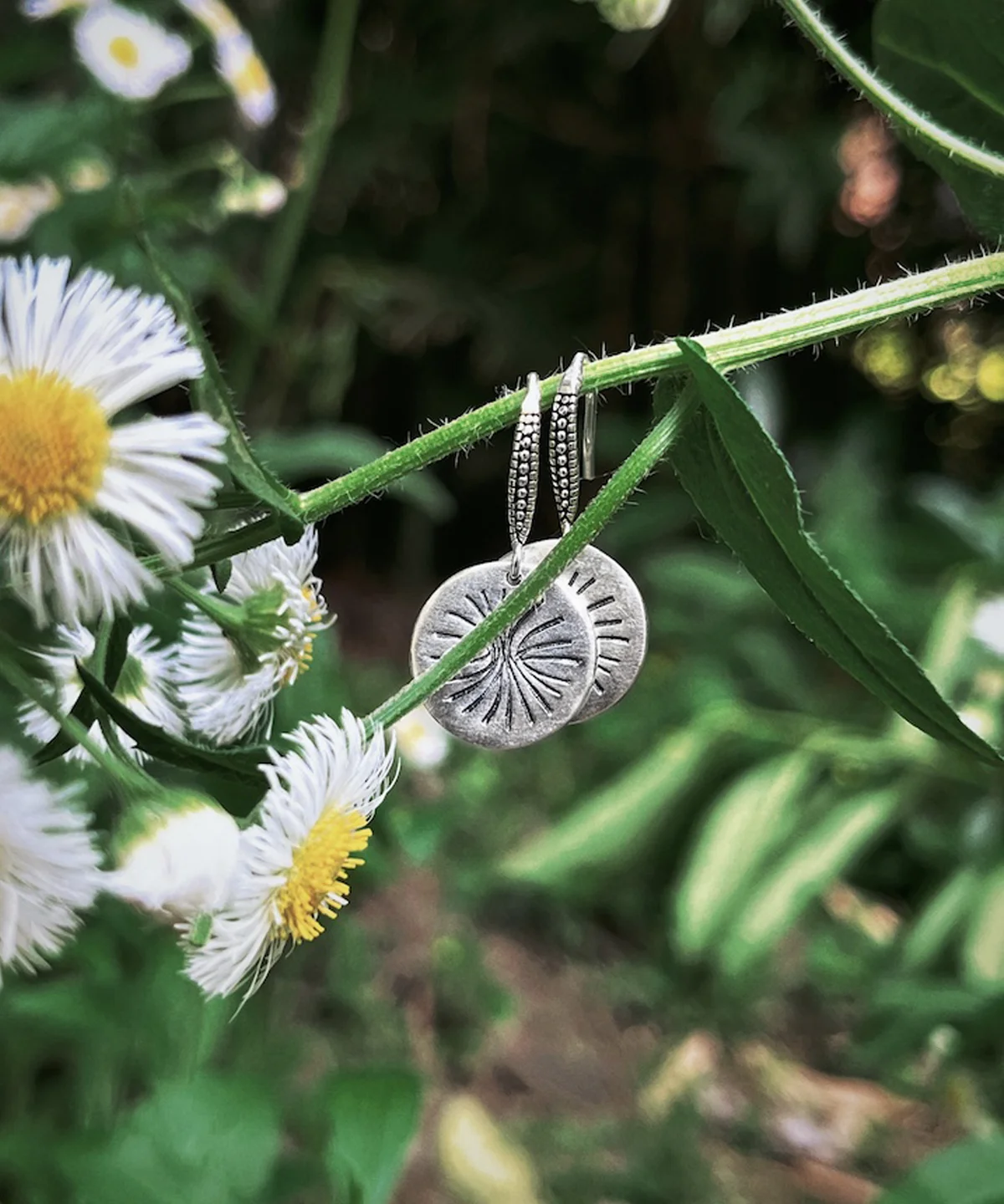 Disc Earrings in S925 Sterling Silver with engraved sunburst design; styled on green plant stem among white daisy flowers, highlighting handcrafted detail and nature-inspired elegance in engraved earrings.