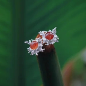 Sunstone Stud Earrings in S925 Sterling Silver with splash-inspired silverwork and warm amber gemstones; styled on plant stem tip against green leaf backdrop to highlight handcrafted detail and organic elegance.