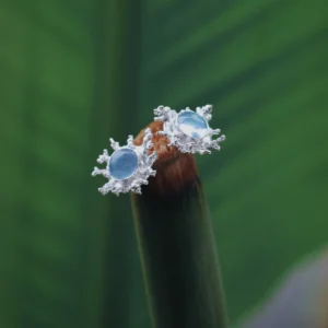 Natural Aquamarine Stud Earrings in S925 Sterling Silver with splash-inspired silverwork and translucent gemstones; styled on plant stem against green leaf backdrop to highlight organic elegance and March Birthstone Jewelry appeal.