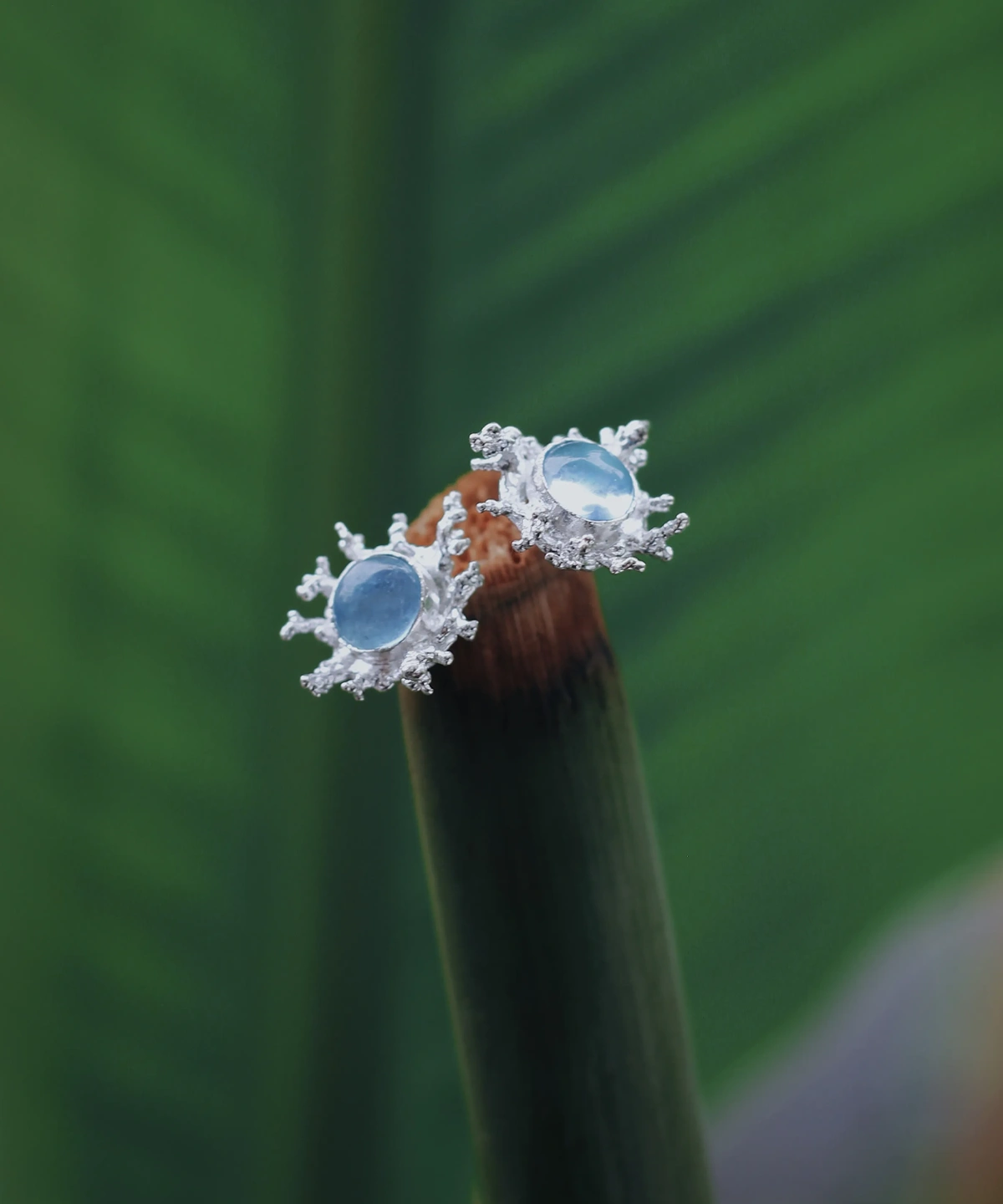 Natural Aquamarine Stud Earrings in S925 Sterling Silver with splash-inspired silverwork and translucent gemstones; styled on plant stem against green leaf backdrop to highlight organic elegance and March Birthstone Jewelry appeal.