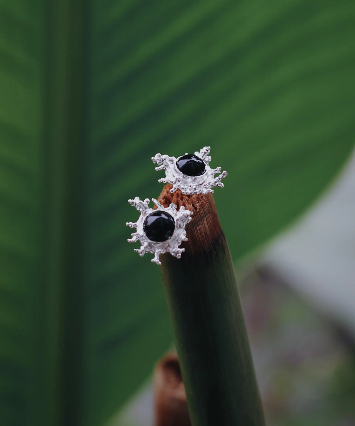 Black Agate Stud Earrings in S925 Sterling Silver with splash-inspired silverwork and central black gemstones; styled on bamboo stalk tip against lush green leaves to highlight organic elegance and gemstone contrast.