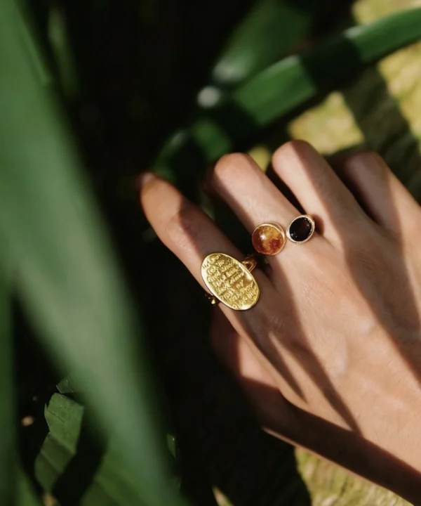 New In 28 Hand wearing a gold toned Amber Ring with dual round gemstones—one amber‑colored and one dark—styled among green leaves.