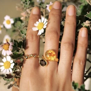 Gold Plated S925 Sterling Silver Amber Ring with Dual Gemstones 05 Hand wearing a gold toned Amber Ring with a translucent amber stone and dark gemstone, surrounded by blooming white daisies and green foliage.