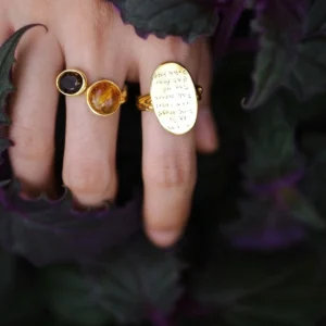 Gold Plated S925 Sterling Silver Amber Ring with Dual Gemstones 15 Hand wearing a gold toned Amber Ring with a round amber stone and a dark gemstone, styled among deep green and purple foliage.