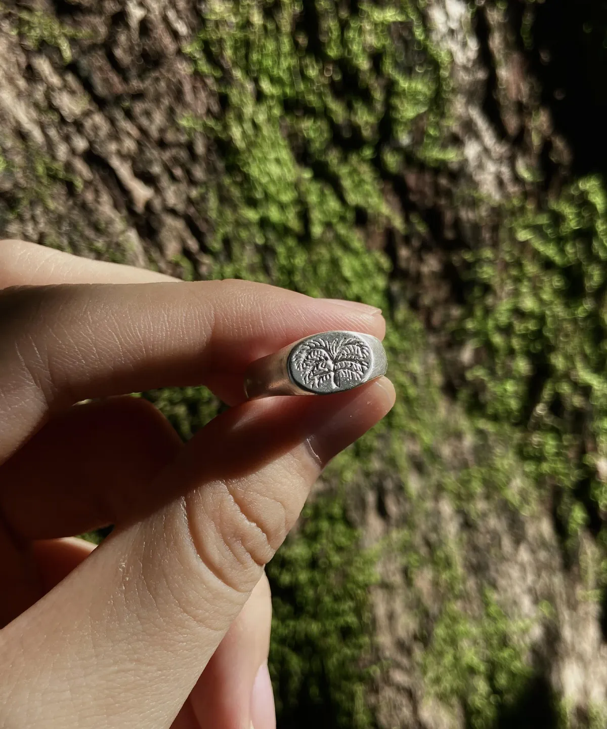 999 Silver Signet Ring with engraved twin palm tree design on oval face; handcrafted Silver Signet Ring held in front of moss-covered tree bark, highlighting nature-inspired detail and organic symbolism.
