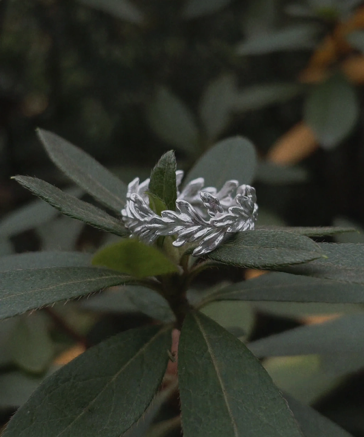 S925 Sterling Silver Poppy Leaf Ring Jewelry 04 S925 Sterling Silver Poppy Leaf Ring Jewelry 04