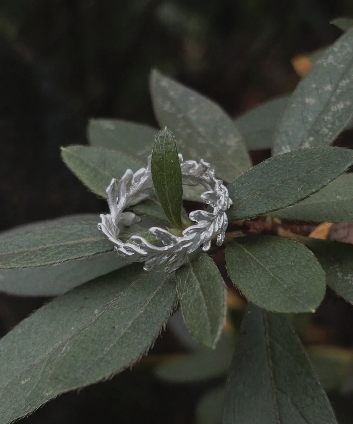 S925 Sterling Silver Poppy Leaf Ring Jewelry 05 S925 Sterling Silver Poppy Leaf Ring Jewelry 05