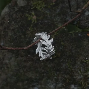 S925 Sterling Silver Poppy Leaf Ring Jewelry 07 Silver Leaf Ring Jewelry with sculpted overlapping leaf motifs wrapped around a twig, displayed against a moss‑covered stone for a natural botanical look.