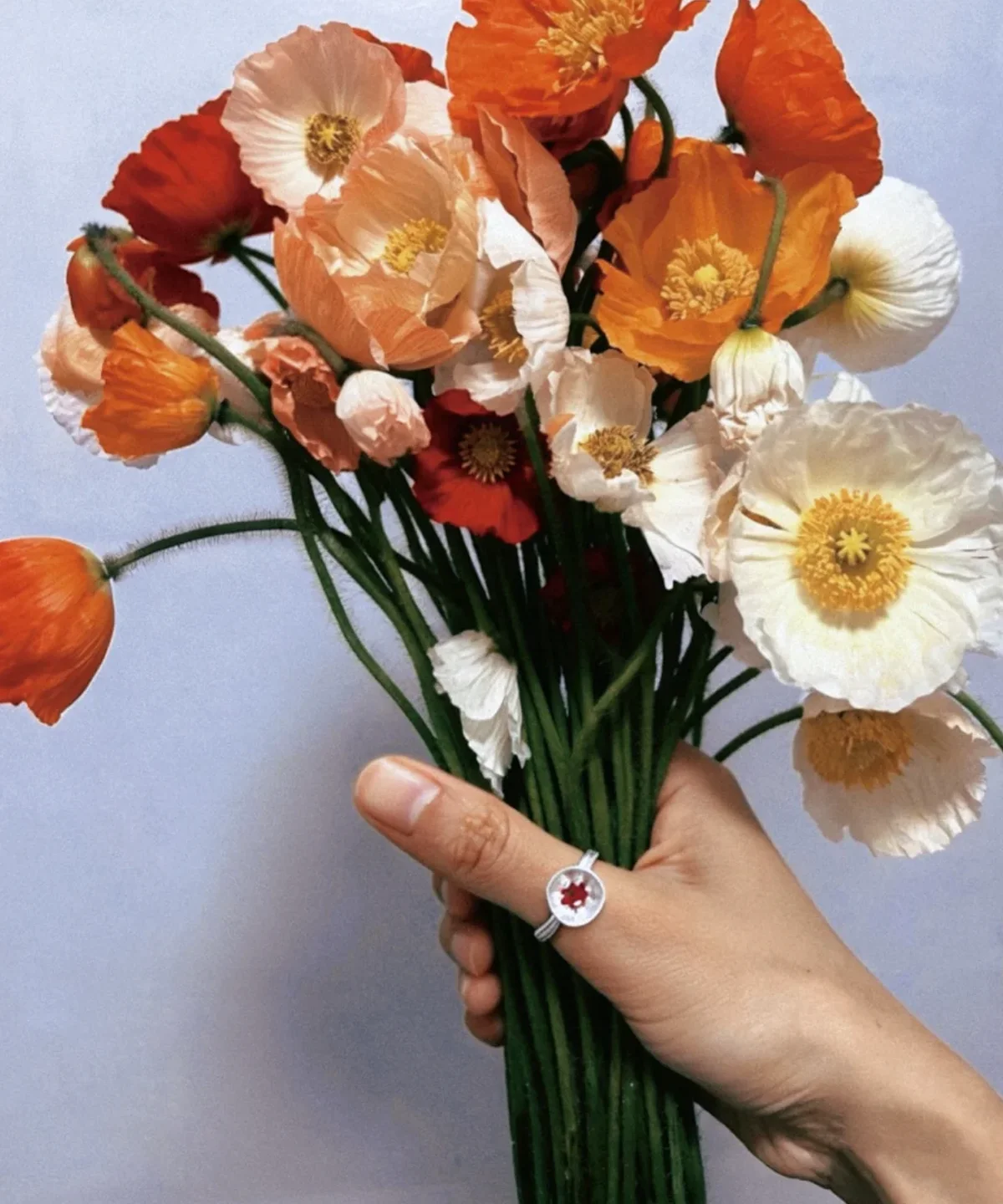 Poppy-Inspired Ruby Ring in S925 Sterling Silver 13 Poppy-Inspired Ruby Ring in S925 Sterling Silver 13
