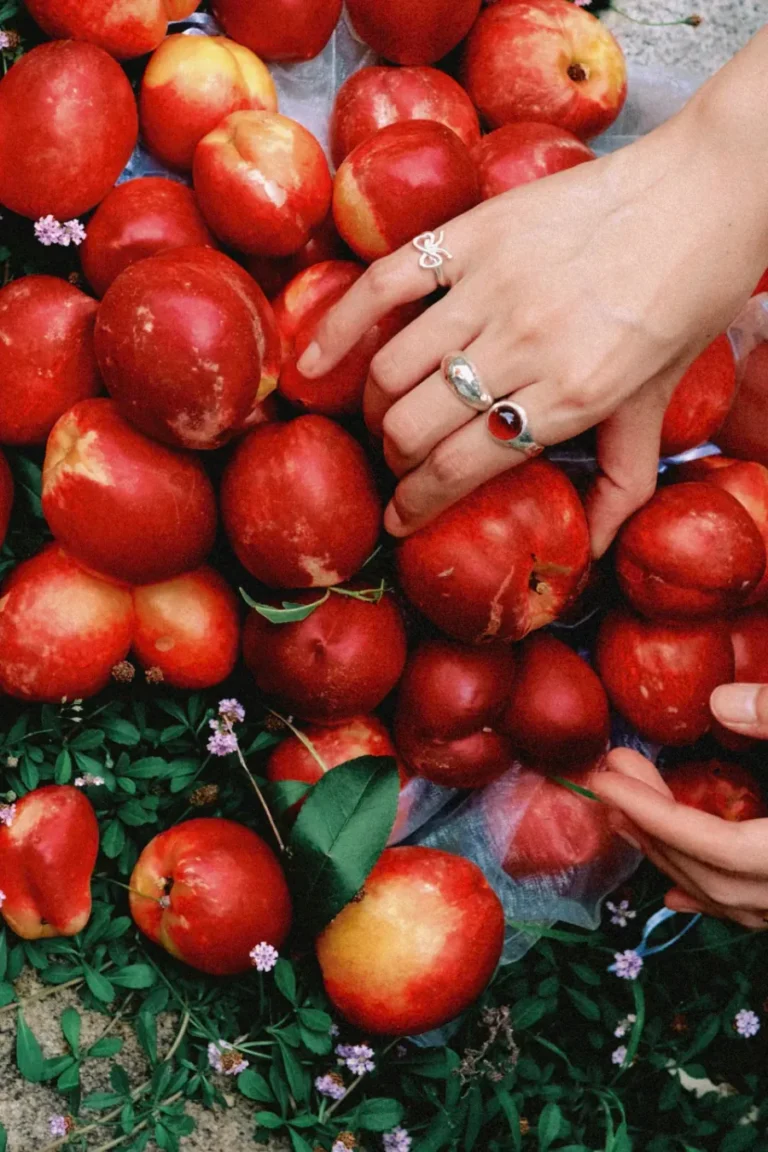 Home 1 Hands wearing silver rings among red peaches and garden leaves