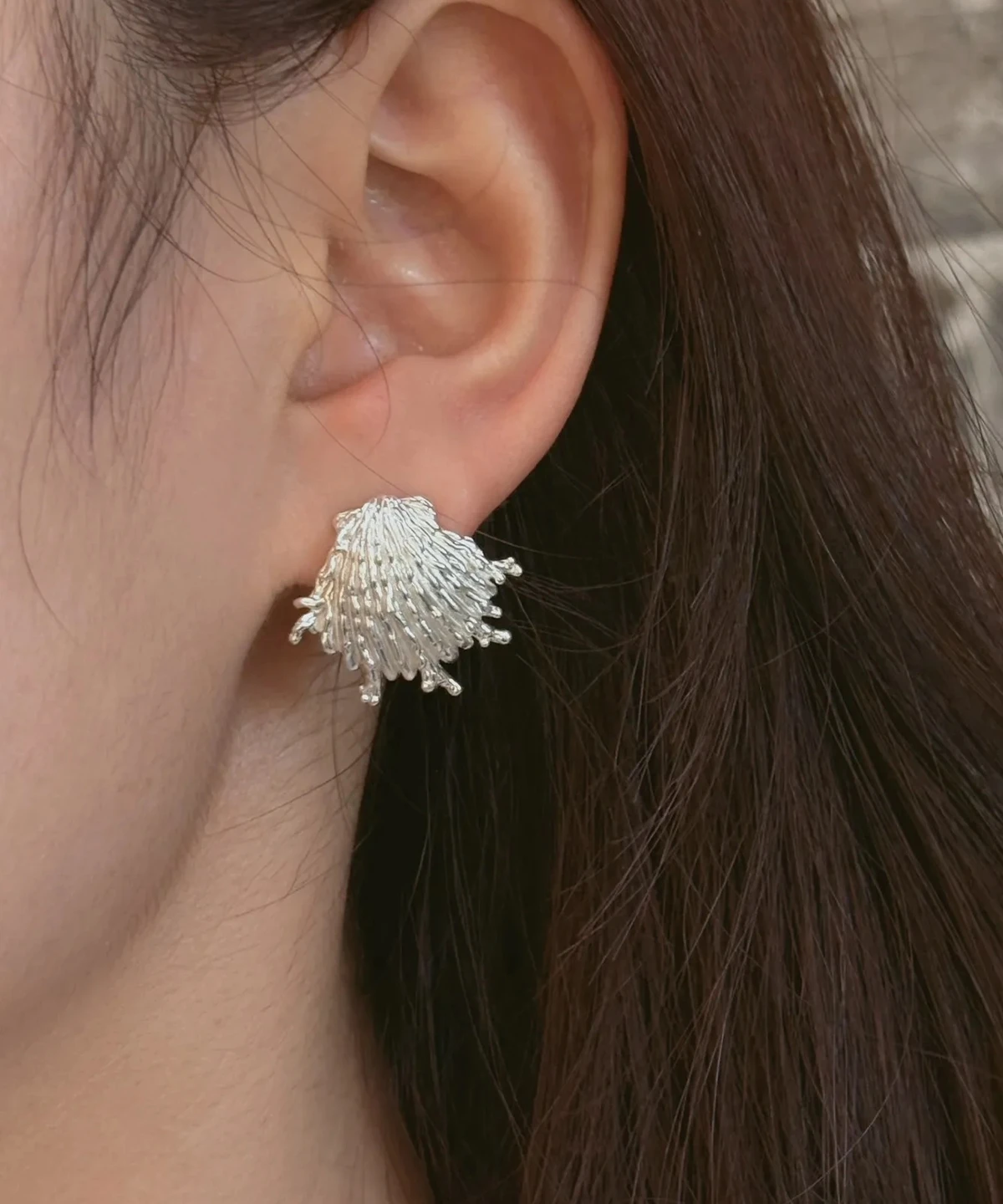 Frayed silver shell earrings worn on the ear, ribs breaking into fringed tips at the edge