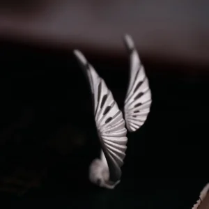 Matte natural-silver wings on a made-to-size S925 ring in bright light