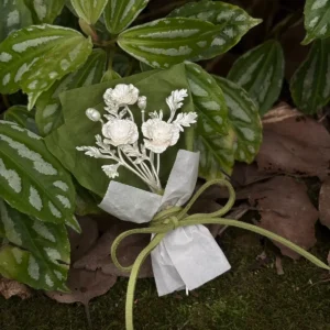 Three-bloom silver poppy bouquet in green wrap resting on moss among garden leaves