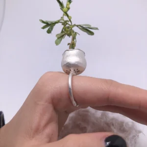 Side view of a silver planter ring showing small holes beneath the pot and the open ring band