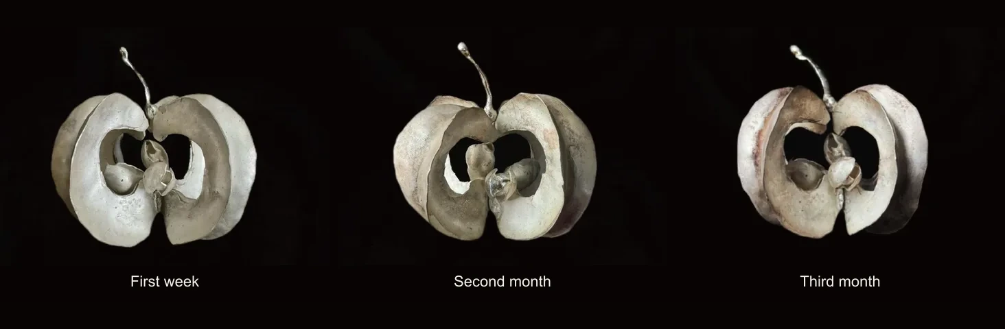 Silver Apple Pendant — Three Stages of Tarnish The same silver apple pendant in the first week, second month and third month, showing changes in surface color