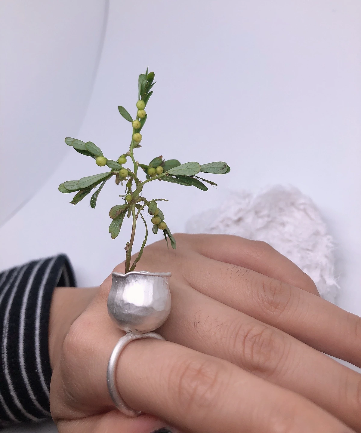 Close view of a small silver pot ring with an uneven rim and textured rounded walls