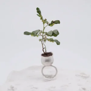 Front view of a silver flower pot ring holding a leafy plant, standing on a white textured platform with the open band below