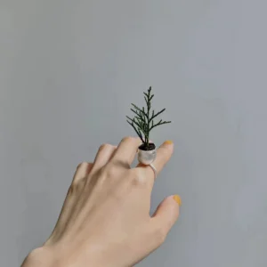 Small silver planter ring worn with a green sprig against a grey background