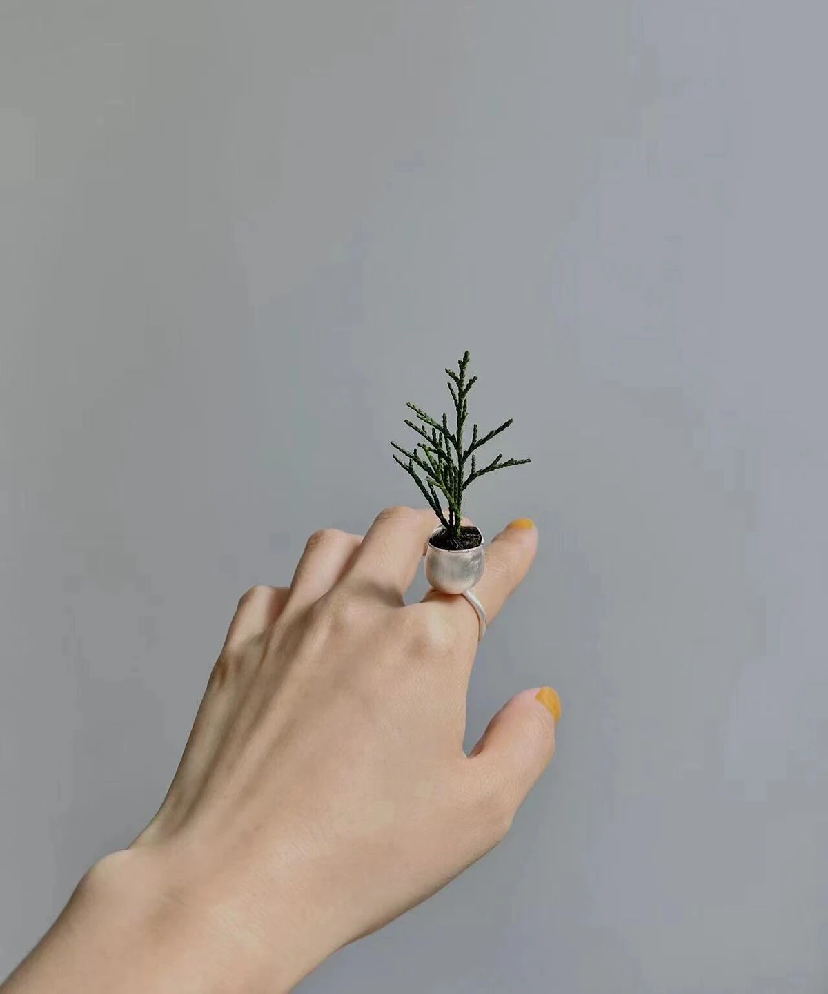 Small silver planter ring worn with a green sprig against a grey background
