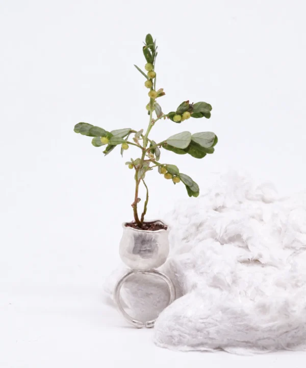 Whimsical ring shaped as a silver flower pot, holding a leafy plant beside a white textured prop with the open band visible below