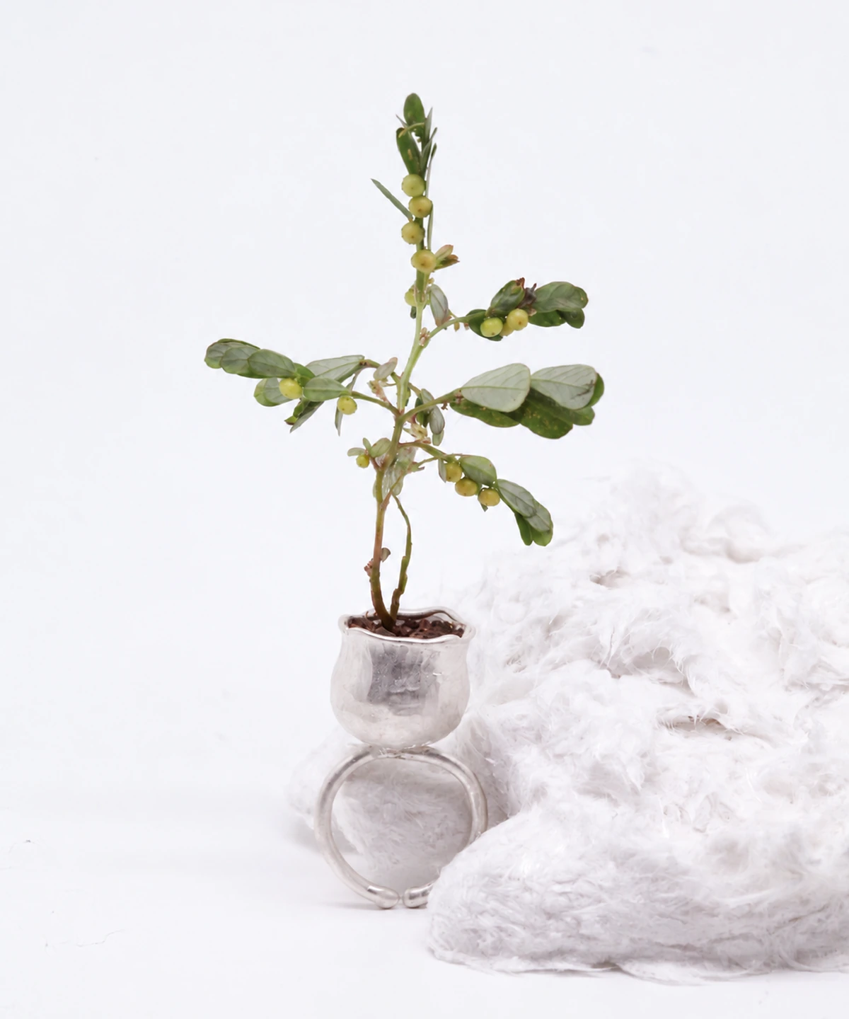 Whimsical ring shaped as a silver flower pot, holding a leafy plant beside a white textured prop with the open band visible below