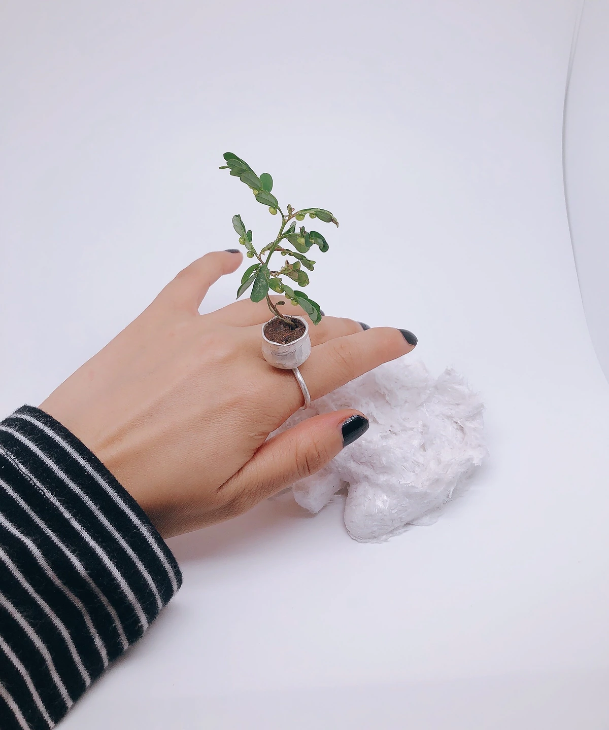 Silver flower pot ring viewed from above on a hand resting beside a white rock