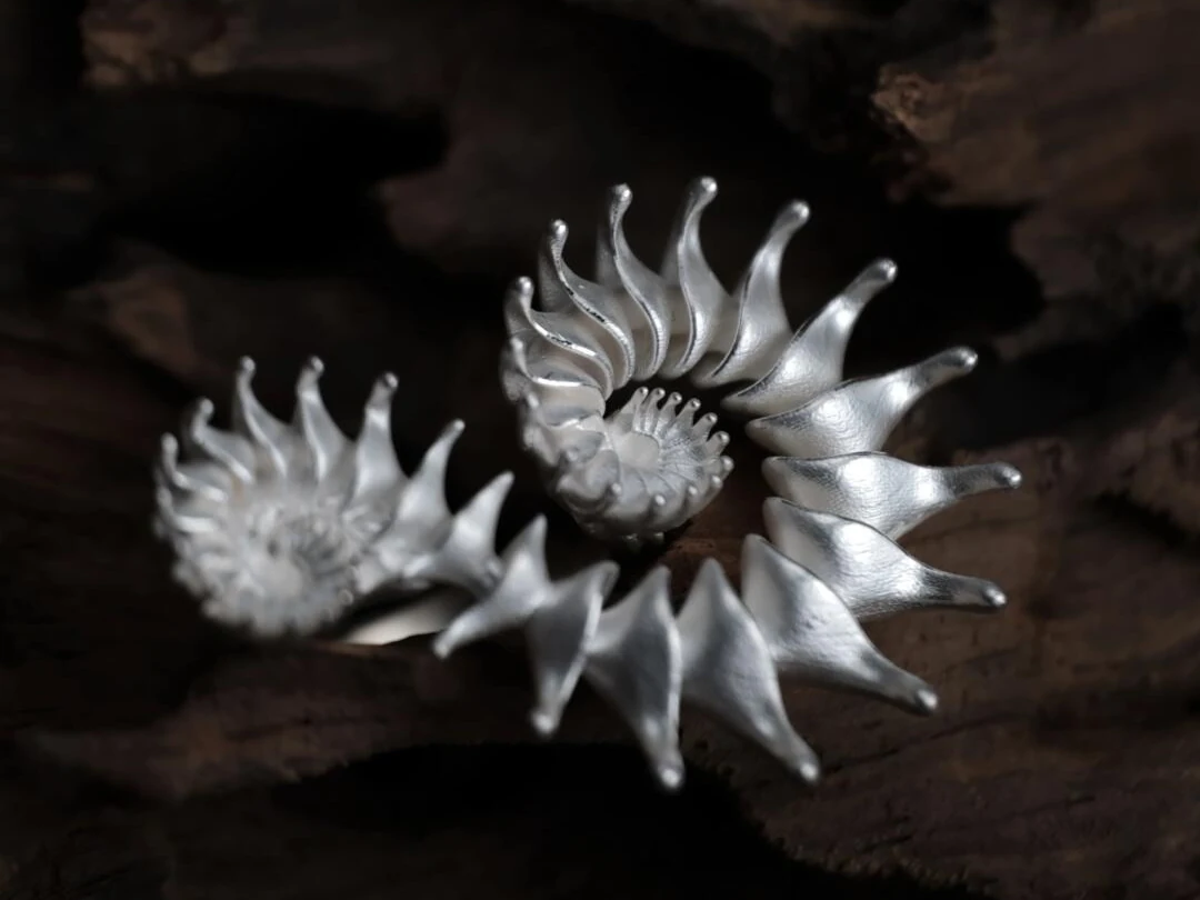 Twin Spiral Ring — After Cleaning, Front Front detail of the cleaned twin spiral silver ring on driftwood