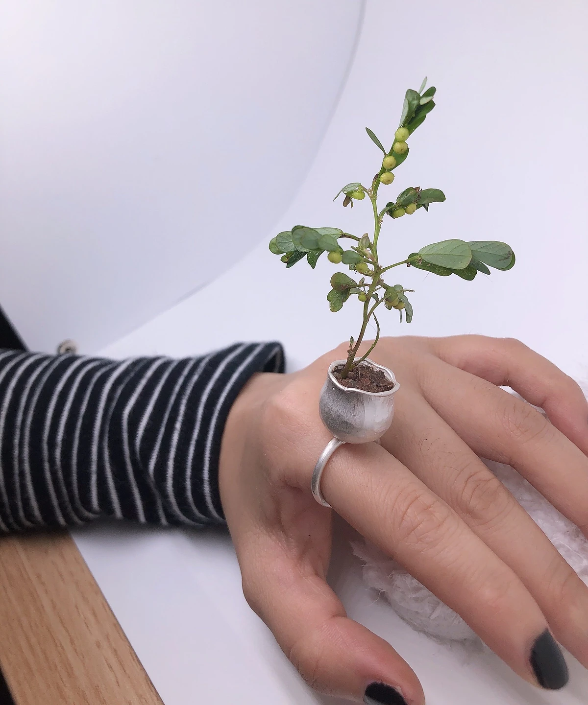 Silver flower pot ring worn on a finger with a leafy green plant